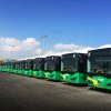 Frota de ônibus elétricos BYD em serviço em Haifa, Israel